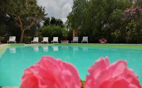Masseria Pugliese Farm